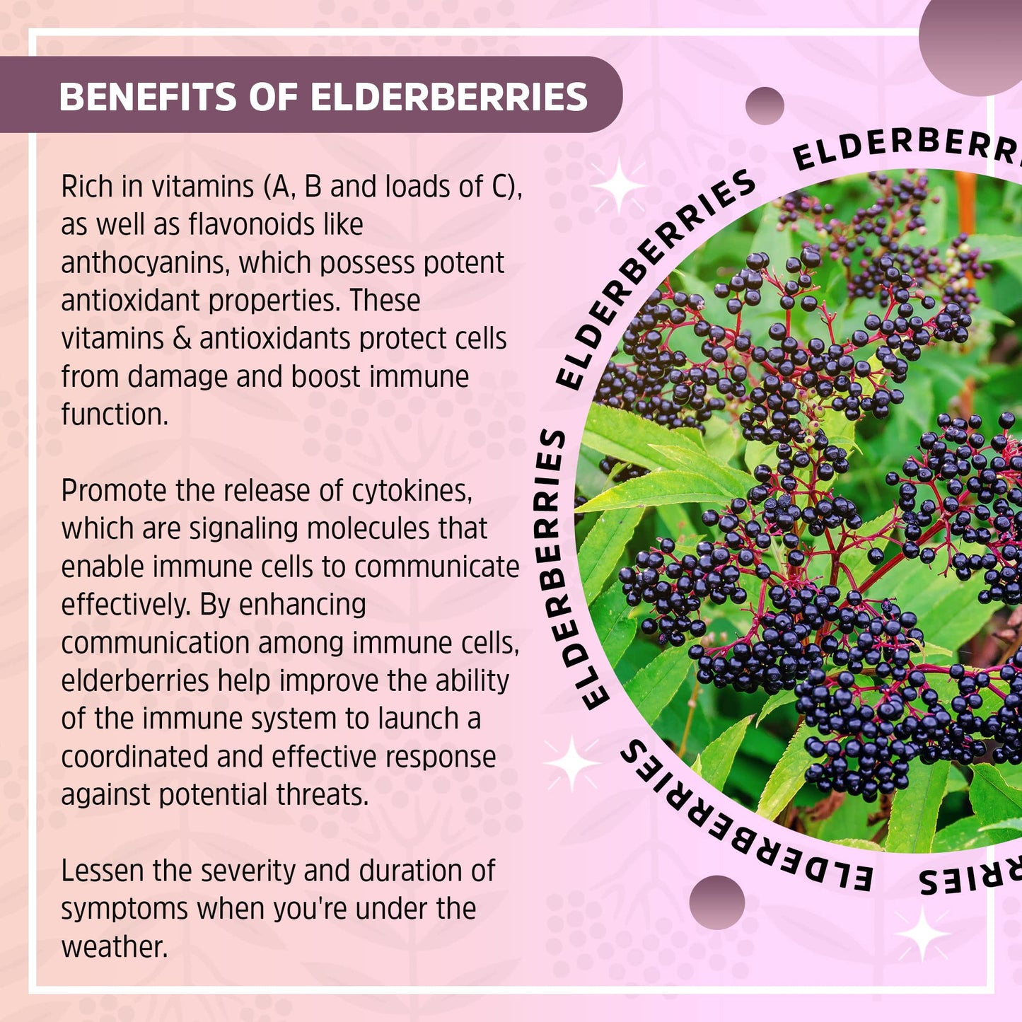 Wild Crafted Elderberry