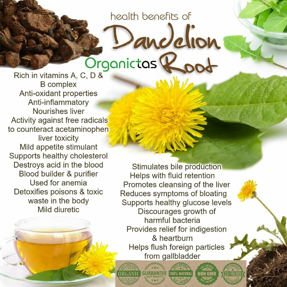 wild crafted Dandelion Root